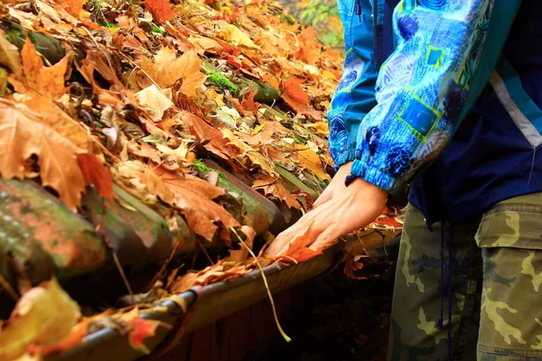 Les feuilles sur le toit — Photo