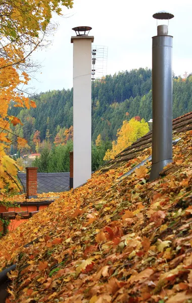 The leaves on the roof — Stock Photo, Image