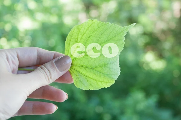 Ecology — Stock Photo, Image