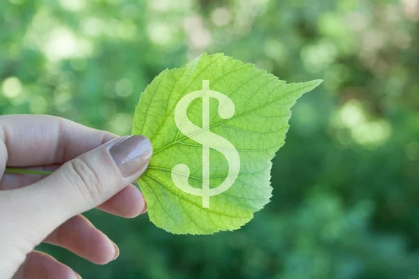 Grönt blad — Stockfoto