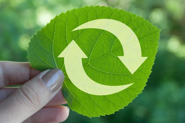 Green leaf — Stock Photo, Image