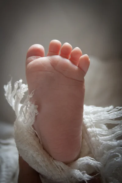 Baby — Stock Photo, Image