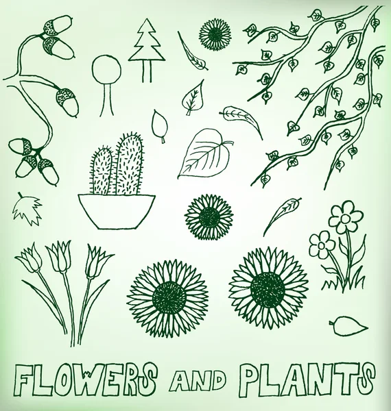 Цветок и растения вручную рисовать — стоковый вектор