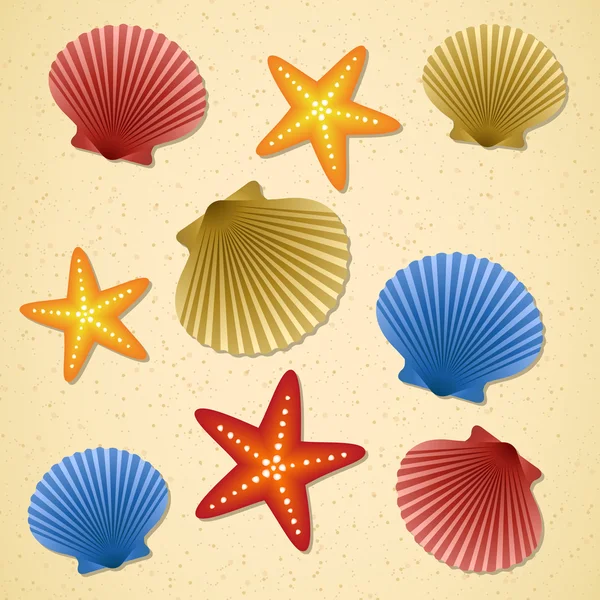 Conchas marinas y estrellas de mar — Archivo Imágenes Vectoriales