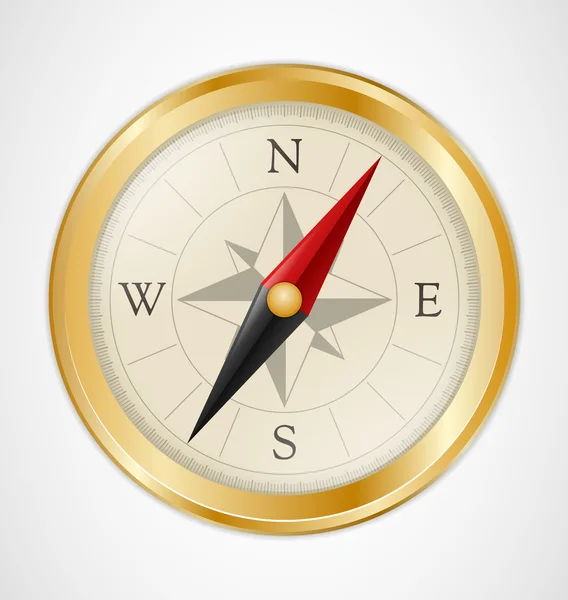 Zlatý kompas vinobraní — Stockový vektor