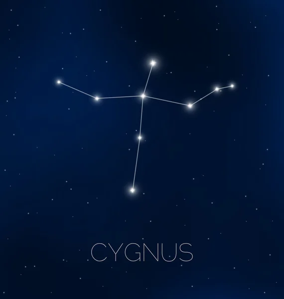 Cygnus stjärnbild på natthimlen — Stock vektor