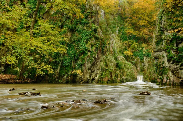 Herfst bos en rivier — Stockfoto