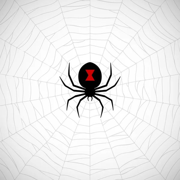 Spider on web — Stock Vector