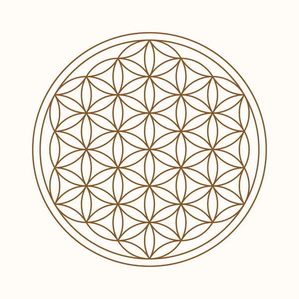 Flower of life logo Stock Photos, Royalty Free Flower of life logo