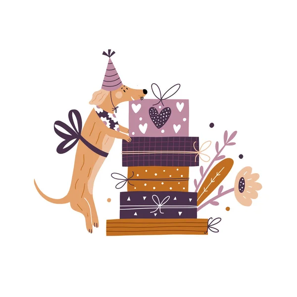 Illustration Vectorielle Avec Boîtes Cadeaux Chiens Tirage Festif Avec Teckel — Image vectorielle