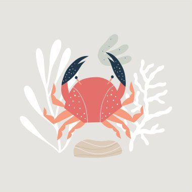 Beyaz arka planda izole edilmiş deniz yengeci desenli moda baskı. Çizgi film tarzında yaz illüstrasyonu.