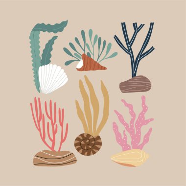 Arka planda deniz kabukları olan modaya uygun bir iz. El çizimi illüstrasyon.