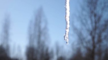Buz Sarkıtı