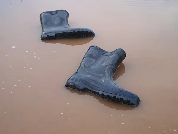 Gumboots — Stock Photo, Image