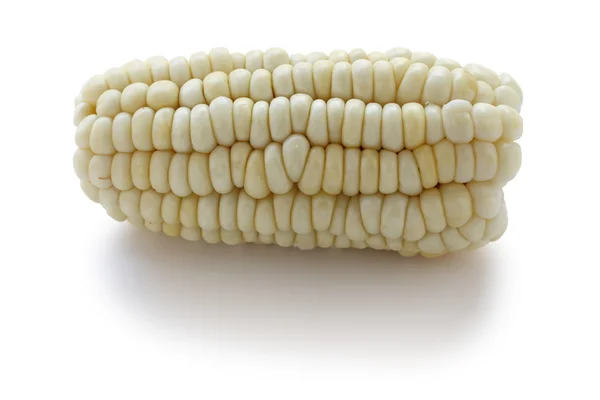 Choclo, maíz blanco gigante —  Fotos de Stock