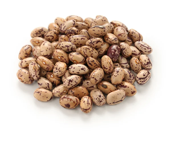 Frijoles Borlotti —  Fotos de Stock