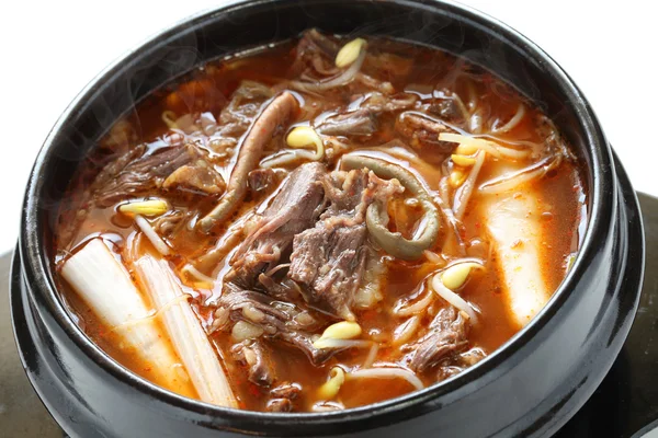 Yukgaejang, comida coreana — Fotografia de Stock