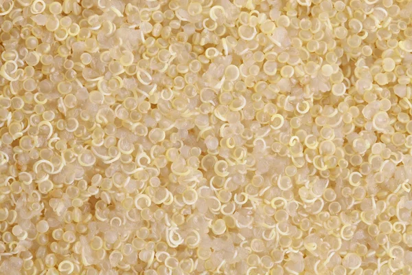 Kokt quinoa — Stockfoto