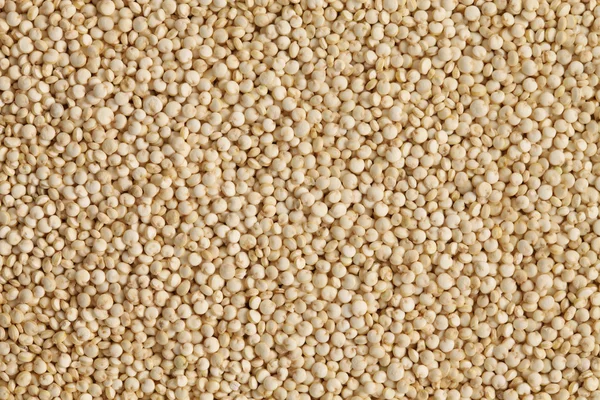 Syrového quinoa — Stock fotografie