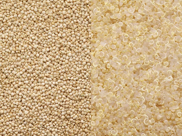 Pişmiş quinoa ve pişmemiş quinoa — Stok fotoğraf