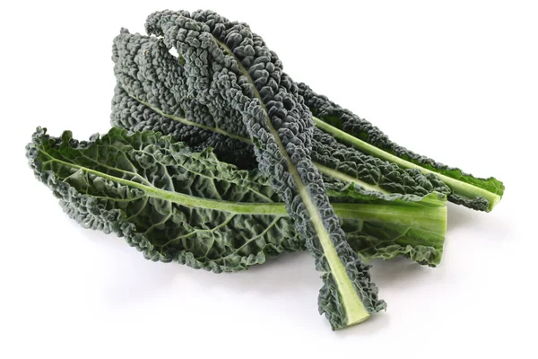 Black kale, italian kale — Stock Photo, Image