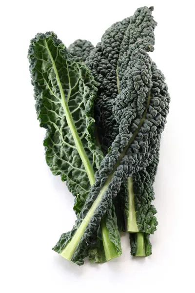 Black kale, italian kale — Stock Photo, Image