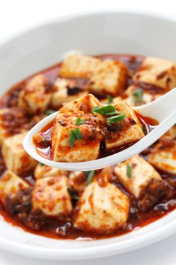 Sichuan mapo tofu