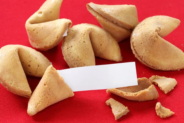 Biscoito da sorte com mensagem em branco — Fotografia de Stock