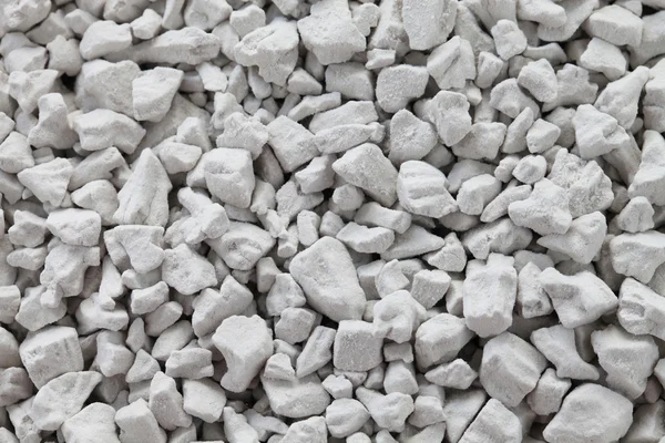 Eğrelti otu kökü nişasta