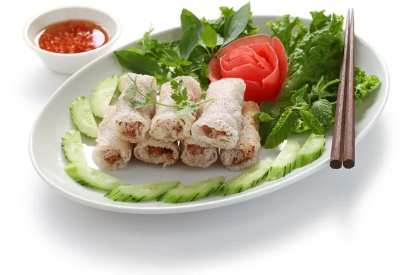 Net spring rolls — Stock Photo, Image