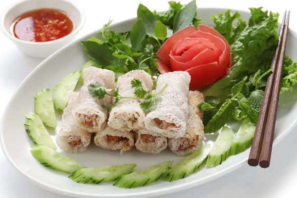 Net spring rolls — Stock Photo, Image