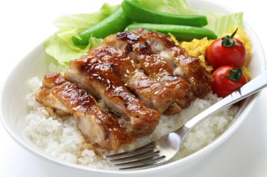 Teriyaki tavuk pirinç