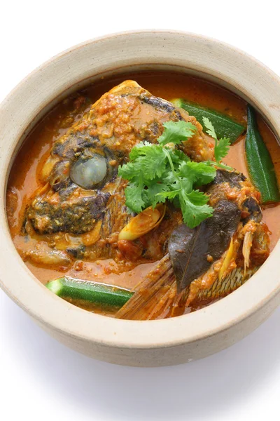 Fisk huvudet curry — Stockfoto