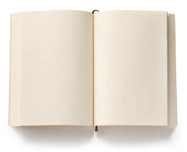 Opened blank paperback — Stock Photo, Image