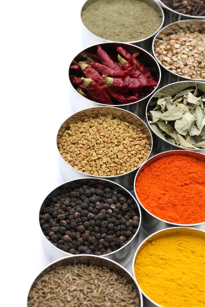 Indian spices collection — Stock Photo, Image