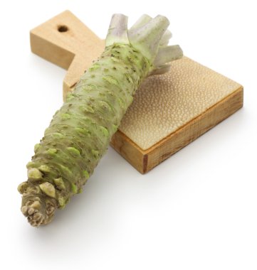 Wasabi and shark skin grater clipart