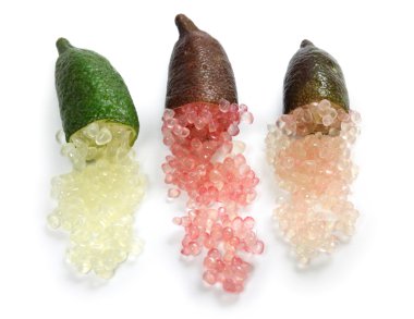 parmak limes, narenciye havyar
