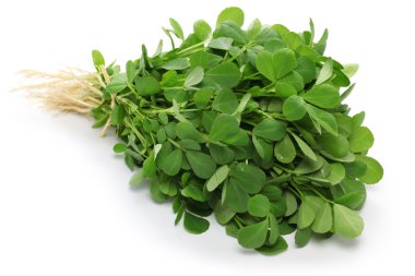 Methi, fenugreek leaves clipart