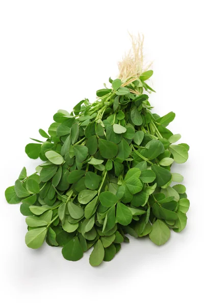 Methi, fenegriek bladeren — Stockfoto