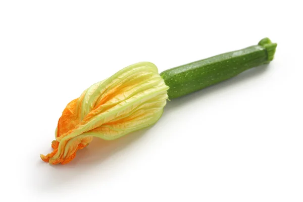 女性のズッキーニの花 — ストック写真