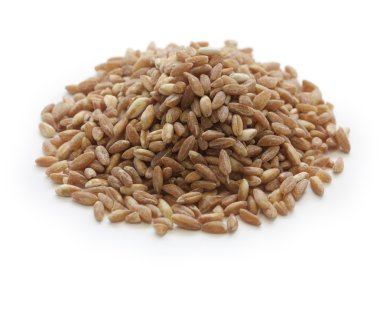 yazıldığını, farro, ilkel buğday