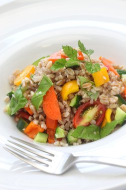 yazıldığından salata, insalata di farro, İtalyan mutfağı