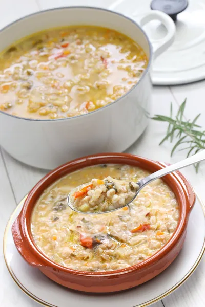 Yazıldığından çorba, çorba farro, İtalyan mutfağı — Stok fotoğraf