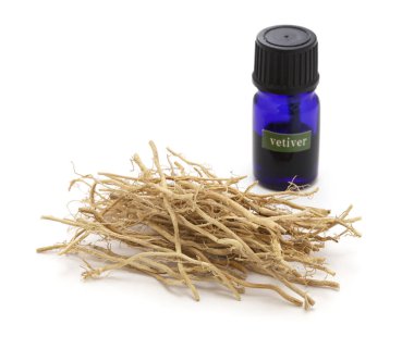 dried vetiver roots and vetiver essential oil in a glass vial, fragrance material clipart