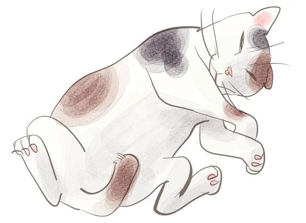 Illustration Calico Cat Lying Its Back — Stock Photo, Image