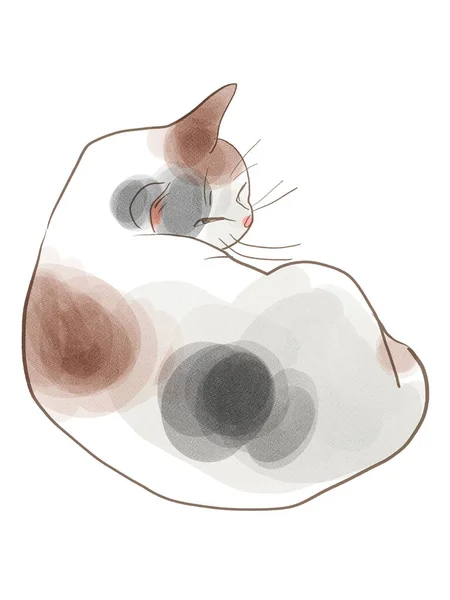 Ilustração Gato Calico Descansando Não Perturbe — Fotografia de Stock