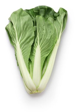 Santouna bir Çin lahanası türüdür.