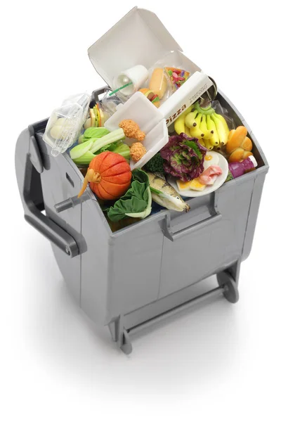 ゴミ缶 ミニチュアで作られた食品廃棄物のイメージピザボックスの文字は架空のものです — ストック写真