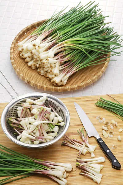 Shima Rakkyo Okinawa Shallot Japanese Vegetable — Stock Photo, Image