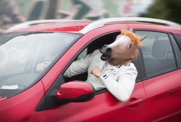 Man in horse mask — Stock Photo, Image